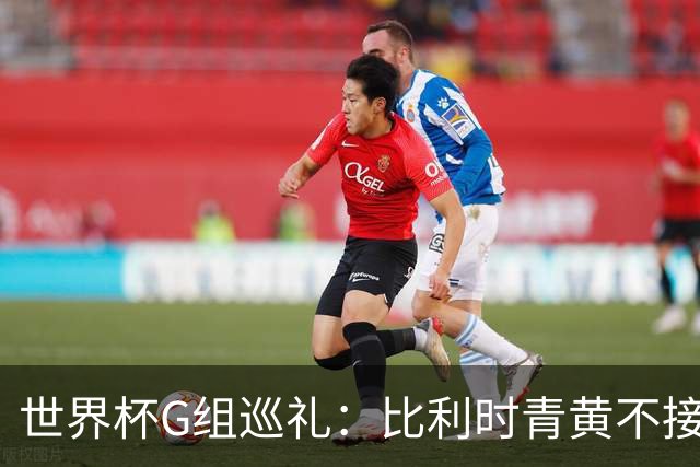 世界杯G组巡礼：比利时青黄不接 伊朗赴美参赛风波不断